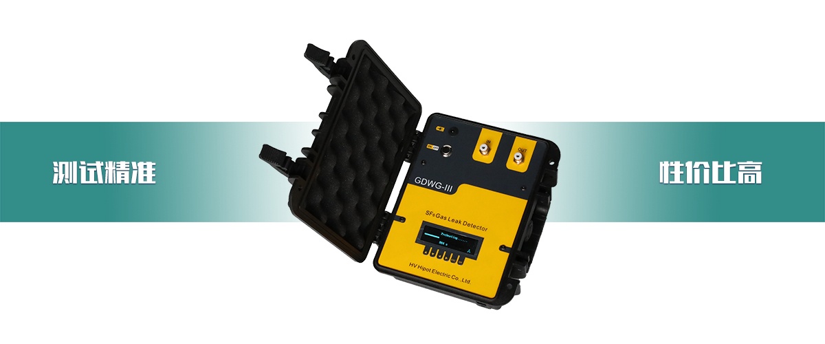 GDWG-III  SF6氣體定量檢漏儀